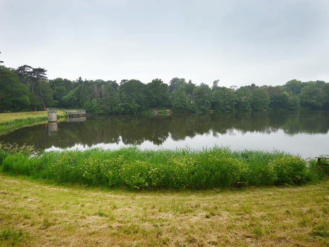 Buckshole Reservoir in Hastings.
