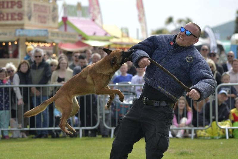 A weekend of free emergency services displays on the Western Lawns. Here, you can get a close look at emergency response vehicles, get on board a fire engine or ambulance, and see arena demonstrations from the police dogs.