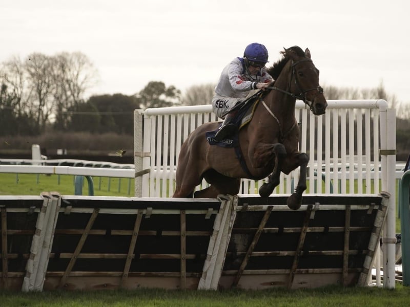 National Spirit Hurdle race day 2026 at Fontwell Park