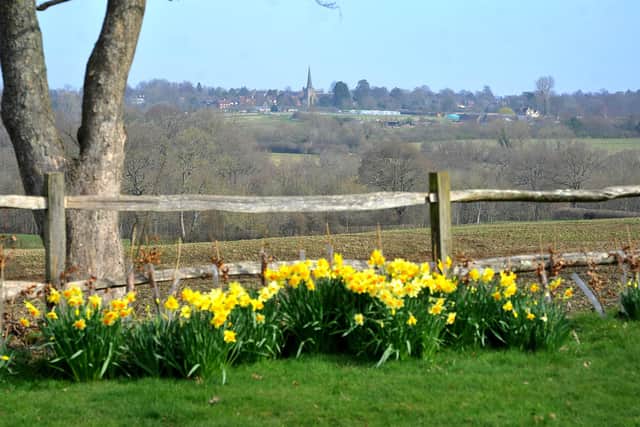 Pictured in March: the site of the 1,600 proposed houses between Ansty and Cuckfield