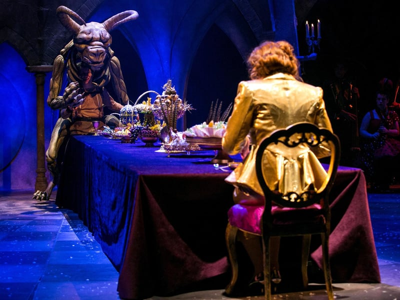 Beauty & The Beast;
Chichester Festival Theatre;
Chichester, West Sussex;
15th December 2017.
© Pete Jones
pete@pjproductions.co.uk:Chichester Festival Youth Theatre at Christmas