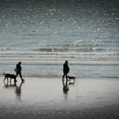 People walking their dogs on St Leonards beach.