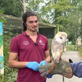 Tony with barn owl