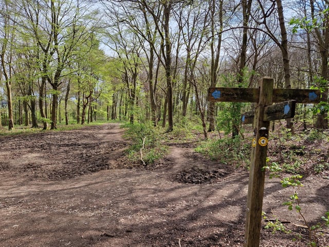 At this next big junction, continue straight on