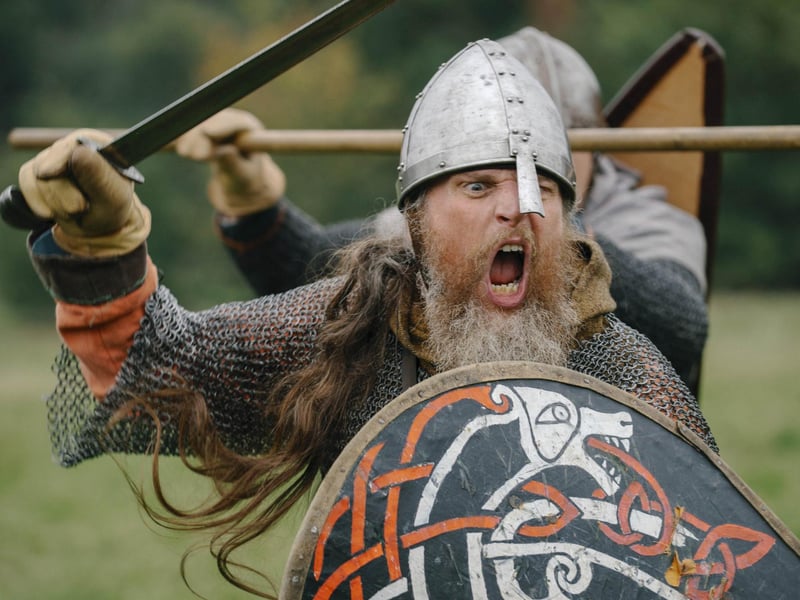 Battle of Hastings reenactment at Battle Abbey 2025. Pic supplied by Tom Arber/English Heritage.