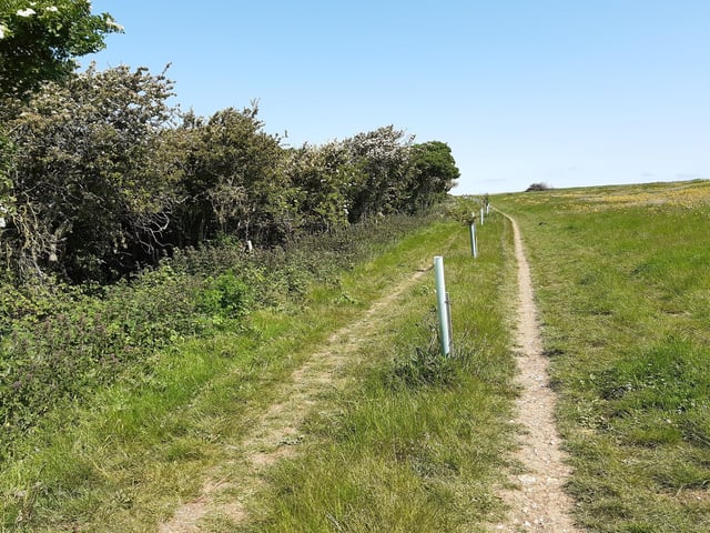 Continue through the gate and on uphill through the farm, passing Balsdean Farm House on the left