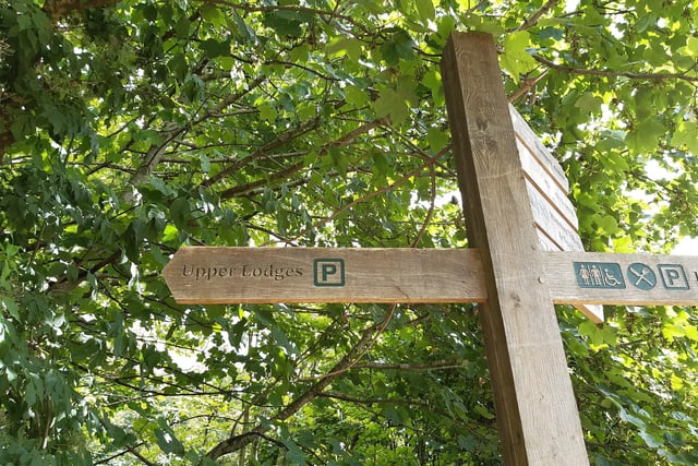 The first bit is easy, a straight walk through the woods to Upper Lodges Car Park. As you near it, you just need to turn left into it, as indicated by a second signpost like this one.