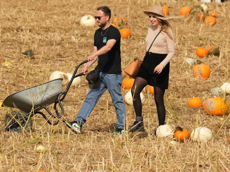 Based at Lychpole Farm just off the A27, family-run picking patch Sompting Pumpkins is open for business again this year. Picture: Eddie Mitchell