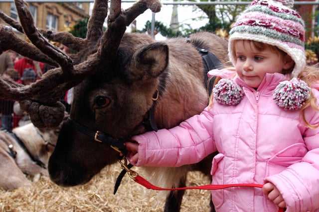 Jasmine Murphy, three, meeting one of the reindeer