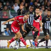 Brighton's midfielder Steven Alzate spent last season on loan in Belgium with Standard Liege