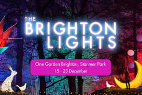 The Brighton Lights: 15 - 23 December 2023, One Garden Brighton