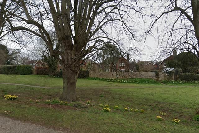 The areas affected by water supply problems on Wednesday evening (January 11) included Whitemans Green, north Cuckfield and Chapelfields. Picture: Google Street View