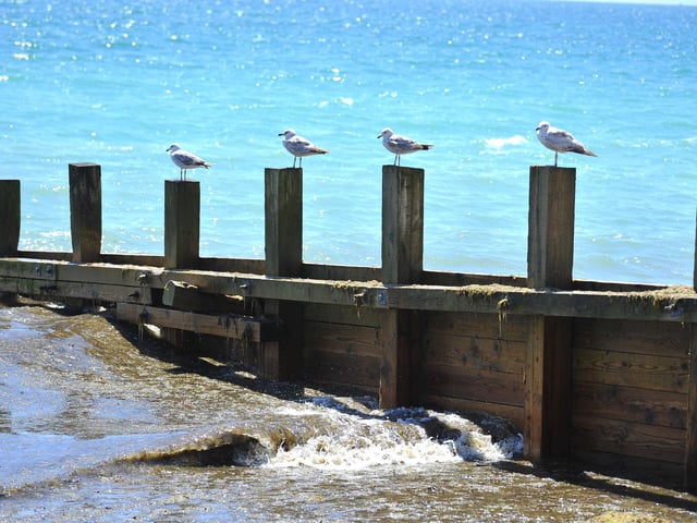 Enjoying the heatwave on Worthing beach. Pic S Robards SR2206152