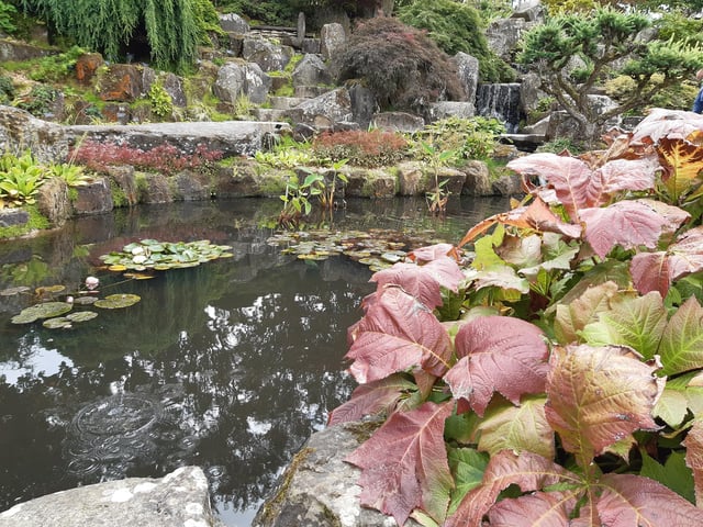 RHS Garden Wisley is a great day out, and it's only just outside of Sussex. Picture: Katherine HM