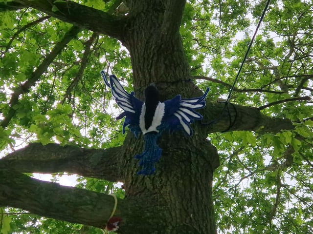 Birds, bats and spiders can be seen up in the trees
