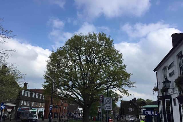 The oak tree in Crawley town centre