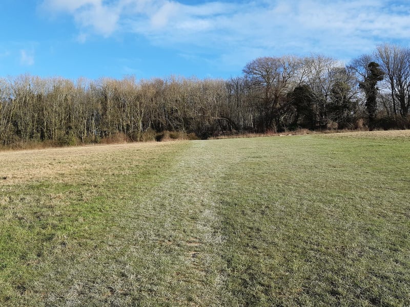 As you near the trees, you will spot an opening directly ahead (centre)