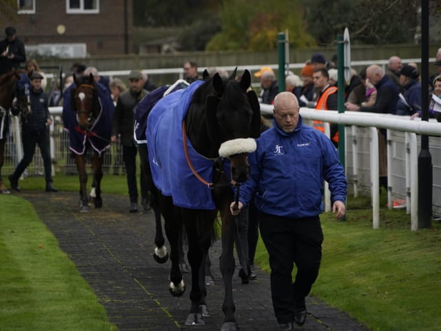 November jump racing at Fontwell Park
