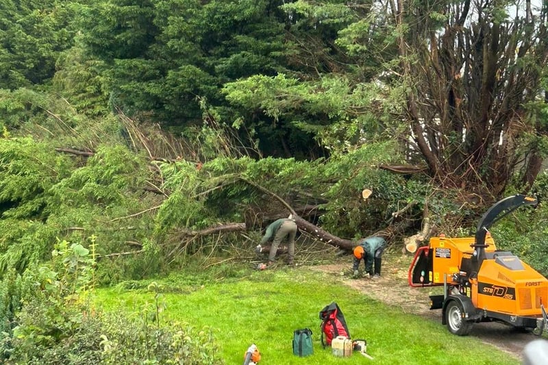 Homeowners in Harebell Close, Littlehampton had a lucky escape when a large tree fell outside brushing the side of the property after landing on a fence.