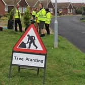 Trees for Seaford. Picture from East Sussex County Council