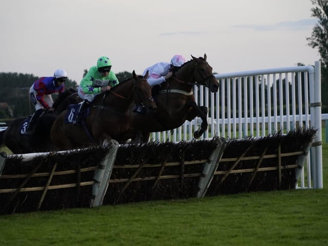 Evening racing at Fontwell Park, June 2025