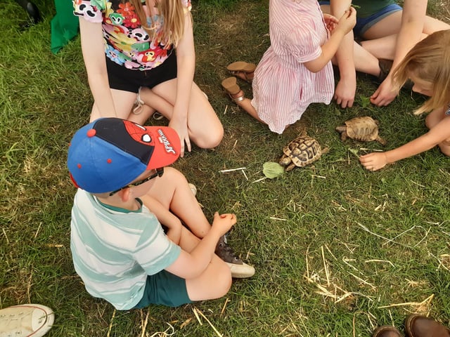 The South of England Show took place at the weekend