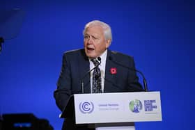 Veteran Broadcaster and environmentalist Sir David Attenborough speaks during the opening ceremony of the UN Climate Change Conference COP26 at SECC on November 1, 2021 (Photo by Jeff J Mitchell/Getty Images)