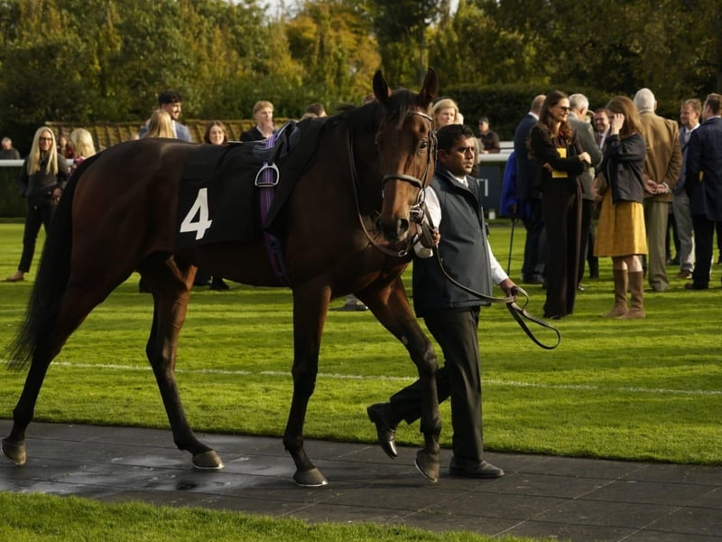 Goodwood Racecourse 2026 season finale