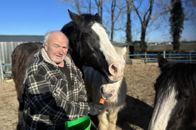 Nigel Mundy said he "lives, breathes and dreams" his horses. Photo: Connor Gormley.
