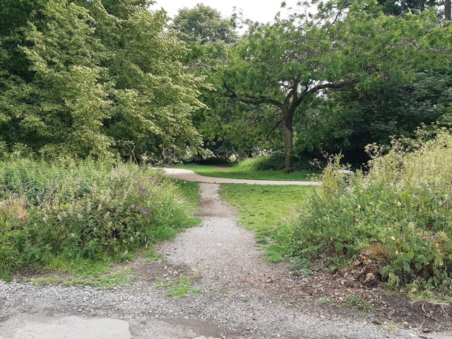 You can see a gap in the bushes to aim for.