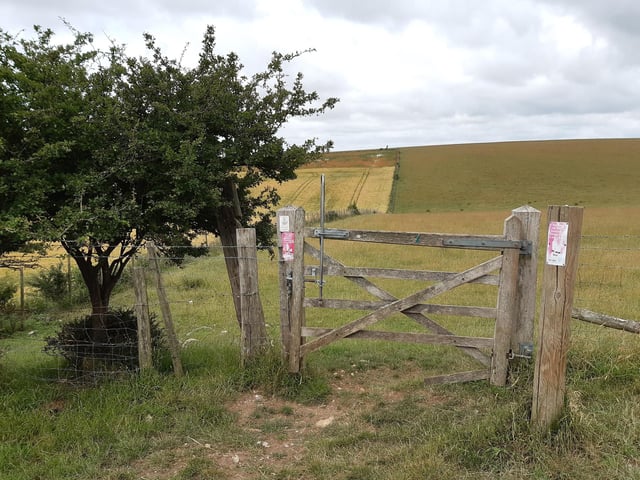 After you go through here into an open field, try to keep going in the same straight line.