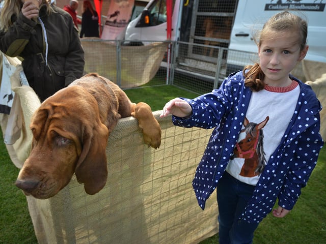 Bexhill Horse & Dog Show 2024.