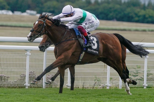 CHICHESTER, ENGLAND - AUGUST 04: Frankie Dettori riding Epictetus (white) win The Bonhams Thoroughbred Stakes from Ryan Moore and Nostrum at Goodwood Racecourse on August 04, 2023 in Chichester, England. (Photo by Alan Crowhurst/Getty Images):Action from Friday's racing at Glorious Goodwood 2023