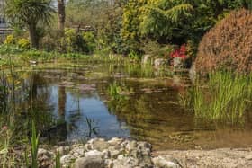 The garden at Cookscroft, Earnley