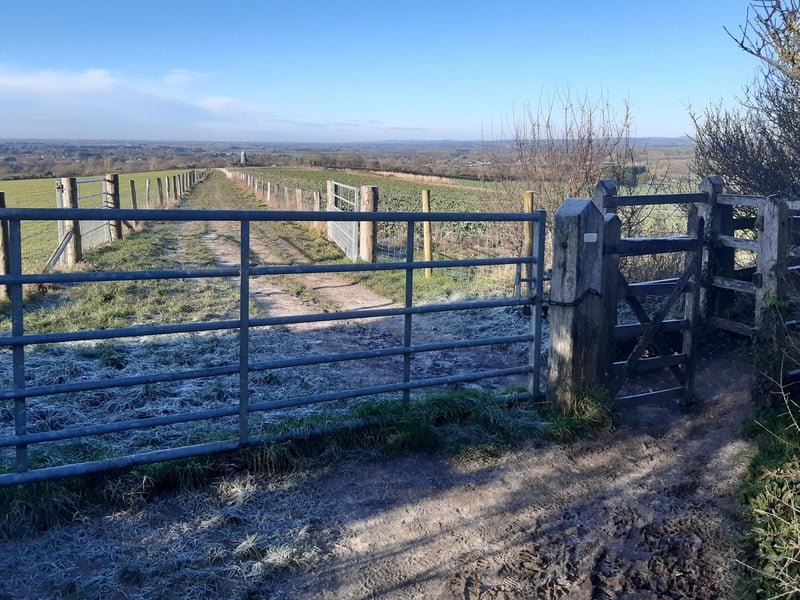Go through the gate on the right.