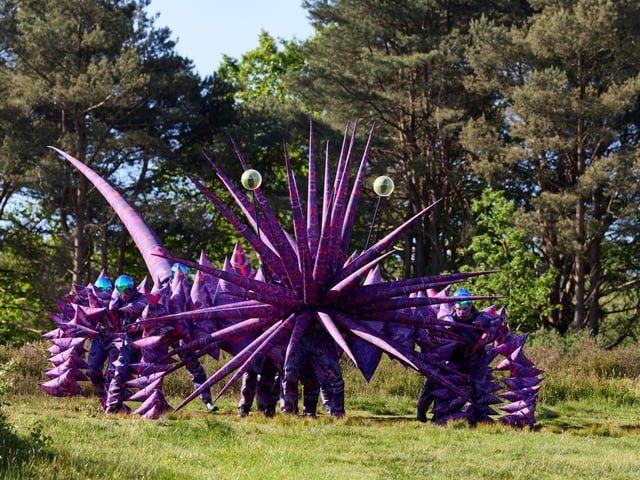 First look at Poppet - the giant puppet in Ashdown Forest. Photograph by David Levene 22/5/26