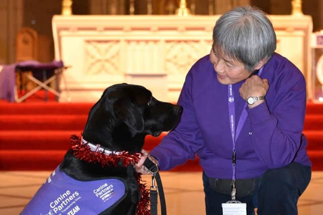 Canine Partners assist people with physical disabilities to enjoy a greater independence and quality of life through the provision of specially trained dogs