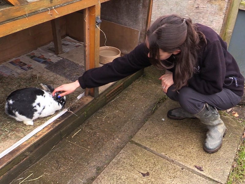 While rabbits are the third most popular pet in the UK, they are also, sadly, one of the most neglected.