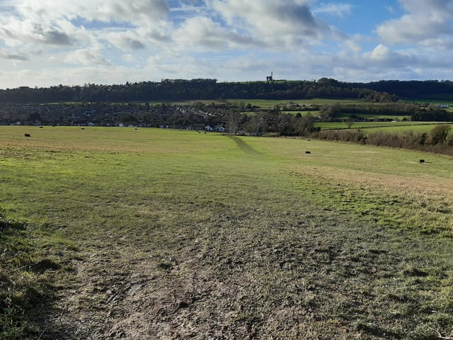 Work you way over the tree stumps and turn left to continue down the hill to Storrington Rise car park (centre in the distance).