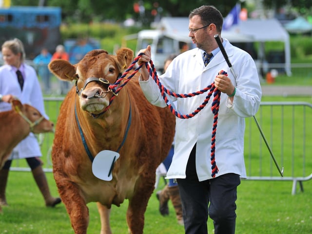 The South of England Show 2022 at Ardingly runs from Friday to Sunday, June 10-12