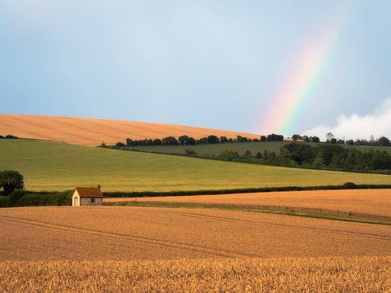 Over the Rainbow by Jamie Fielding  - a highly commended submission.