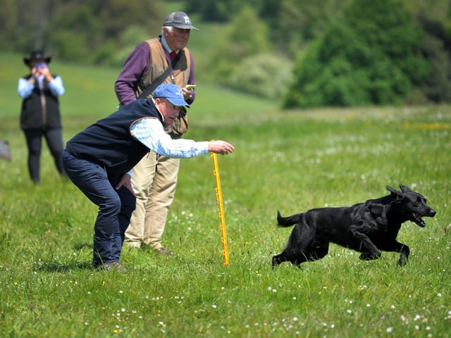 Saturday at Goodwoof 2023. Pic S Robards SR2305201