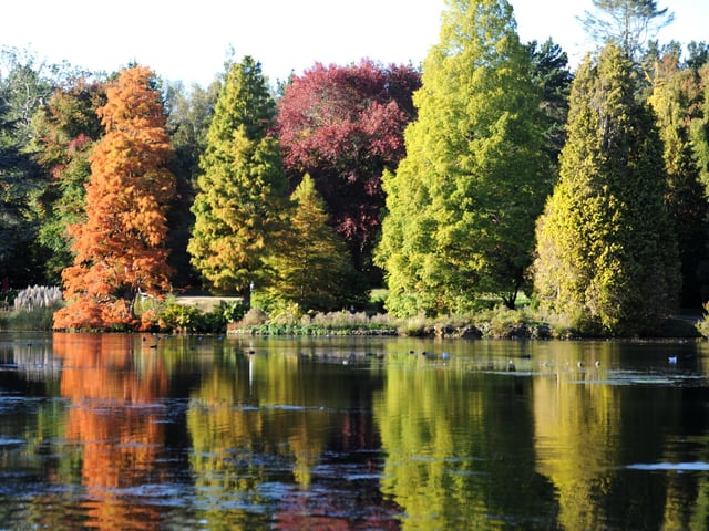 Vivid autumn colour at Sheffield Park and Garden. HR26102605 Pic Hollie Robards/Iconic Media Group