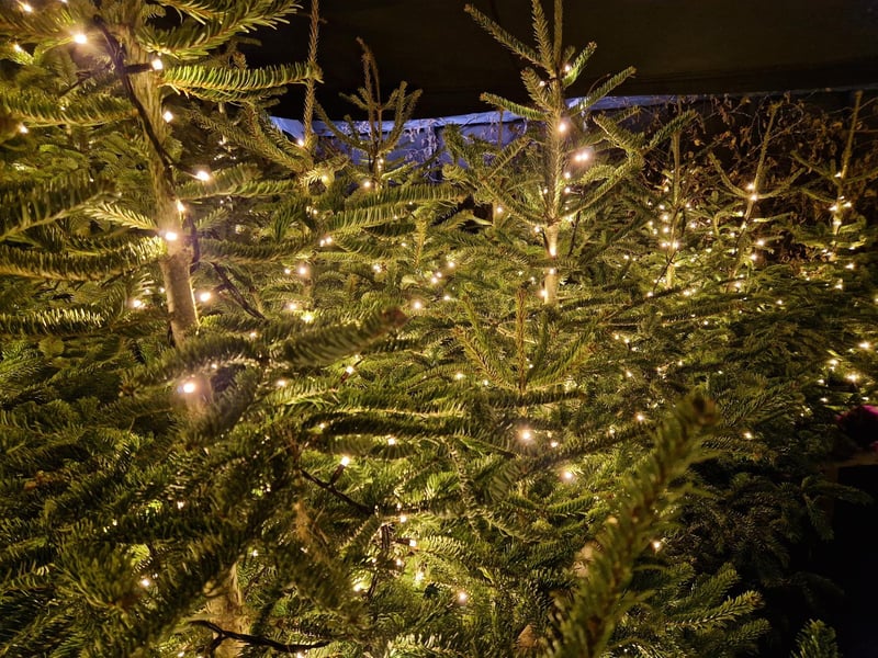 The Tulleys Farm Christmas Santa Experience is a fun and festive day out for all the family