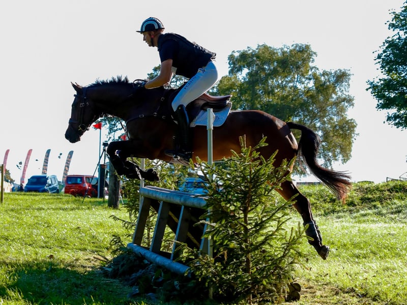 The Autumn Show and Horse Trials are on Saturday and Sunday, September 21-22