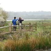 RSPB Pulborough Brooks in the South Downs National Park