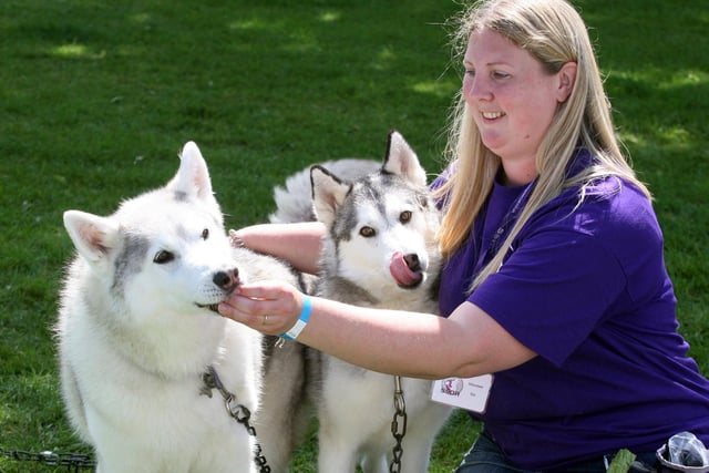 Paws in the Park event at Ardingly. Saints Sled Dog Rescue - Kim Taylor with Kyia, left and Tyler. Photo by Derek Martin Photography and Art