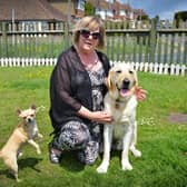 Dawn Penney with her guide dog Mr Miller in Sidley, Bexhill.Also pictured is Louie.