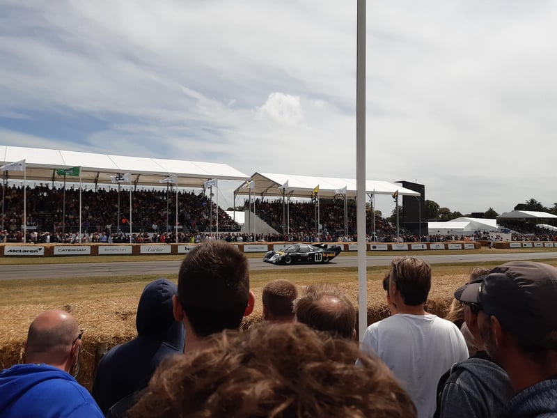 The Festival of Speed is one of the biggest events in the motorsports calendar. Picture: Katherine HM