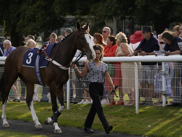 Race 5 The Rapunzel Me Hair Flips And Sips Handicap Steeple Chase at Fontwell on Friday 30 August 2024. www.polopictures.co.uk Fontwell Arundel Clive Bennett 20240830 ©2024 Clive Bennett Photography 30/08/2024 _CAB6489.JPG : Fontwell Park Ladies' Evening 2024